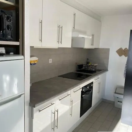 A Le Barcares, 4 Couchages, Terrasse, Parking, Piscine Et Activites Sportives - Fr-1-195-23 * לה ברקרה