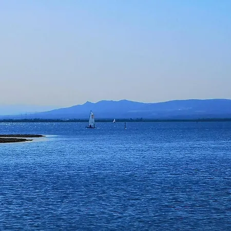 A Le Barcares, 4 Couchages, Terrasse, Parking, Piscine Et Activites Sportives - Fr-1-195-23 * לה ברקרה